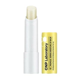 CNP Laboratory Propolis Derma Moisture Lip Balm 4g
