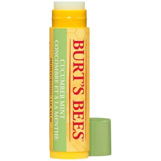 Burt's Bees Cucumber Mint Lip Balm