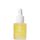 Pai Skincare The Light Fantastic Ceramide Face Oil