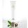 SCINIC Snail Matrix Eye Cream