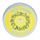 Bella Brighton Bump and Bruise Arnica Balm
