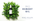 Renee Rouleau Pro Remedy Oil