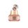 LABIOTTE Aesthe RX Collagen Cream