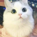 ExcitedElectrons