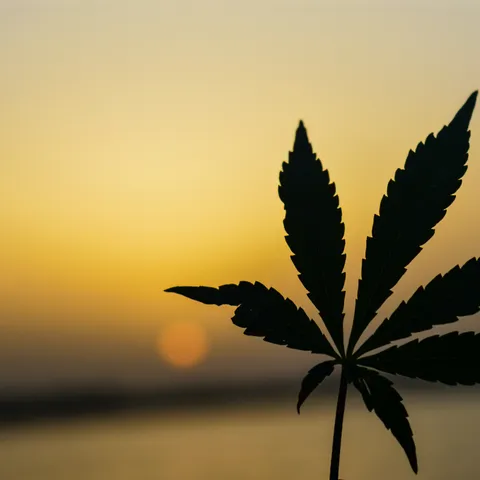 CBD for Sensitive Skin?