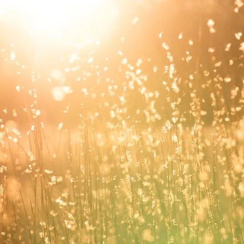 Does salicylic acid (BHA) cause sun sensitivity?