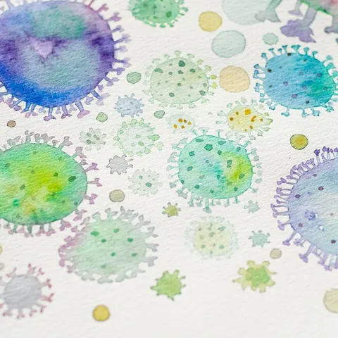 Bacteria, inflammation & acne