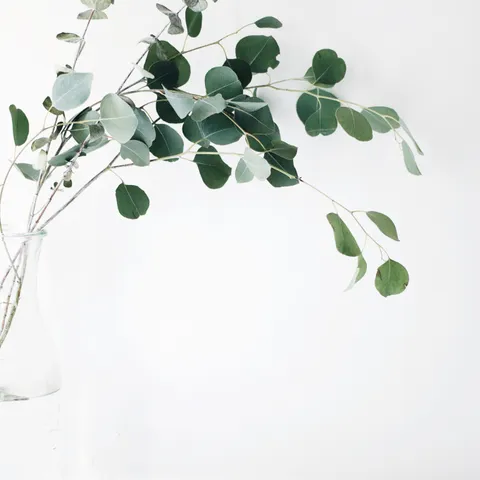 Clean Beauty - Who to Blame & What to Do