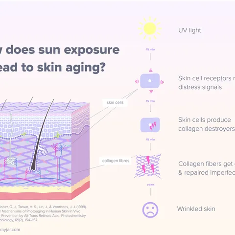 How Does Sunlight Lead to Skin Aging?