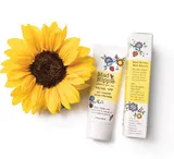 Mad Hippie - https://madhippie.com/products/facial-spf