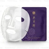 All-Purpose Repairing Mask