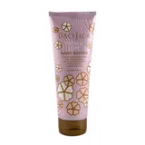 Pacifica - French Lilac Body Butter