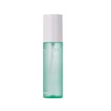 Dutch Tea Mattifying Mist