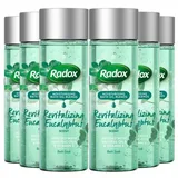 Radox - Moisturising Bath Oil Revitalising Eucalyptus Scent