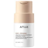 Rice Enzyme Brightening Cleansing Powder