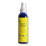 Seoul Ceuticals - Korean Skin Care Potent 97.5% Snail Mucin Essence