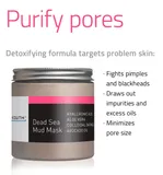 Dead Sea Mud Mask with Hyaluronic Acid, Aloe, Oatmeal, Avocado Oil