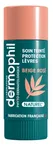 Dermophil Indien - Tinted Care Lips Protection