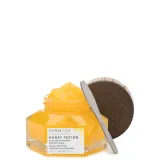 Honey Potion Renewing Antioxidant Hydration Mask