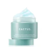 so natural - Cactus Water Sherbet Cream