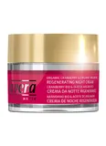 Regenerating Night Cream