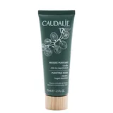 Purifying Mask