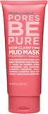 Formula 10.0.6 - Pores Be Pure Skin-Clarifying Mask