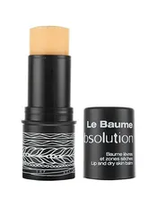 Absolution - Le Baume Lip Dry Skin Balm