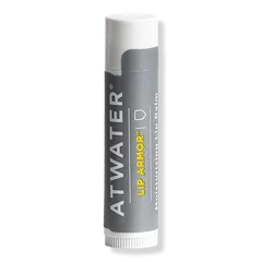 Lip Amor Lip Moisturizer
