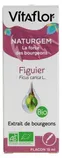 Naturgem Organic Buds Extract Fig Tree