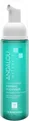 Quenching Coconut Water Firming Cleanser