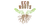 EcoRoots
