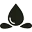 Marina Miracle