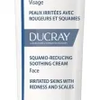 Kelual DS Squamo-Reducing Soothing Cream Irritated Skins