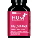 Arctic Repair
