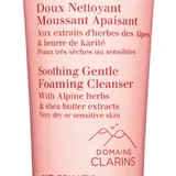 Clarins - Soothing Gentle Foaming Cleanser
