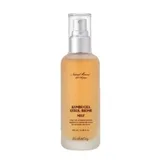 Kombucha Gyeol-Biome Mist