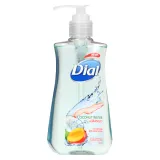 Dial - Liquid Hand Soap Coconut Water & Mango