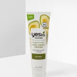 Avocado Fragrance-Free Daily Cream Cleanser