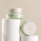 Phyto Plump Collagen Day Cream