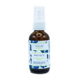 CE Antioxidant Serum