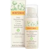 Burt's Bees Sensitive Daily Moisturising Cream