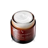 Mizon - All In One Snail Repair Cream
