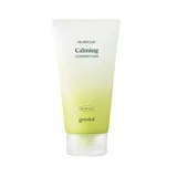 Goodal - Houttuynia Cordata Calming pH Balancing Cleansing Foam