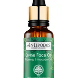 Organic Divine Face Oil