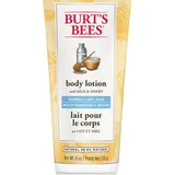 Burt's Bees - Nourishing Milk Honey Body Lotion