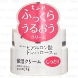 Moisture Cream