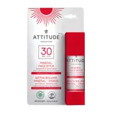 Face Stick SPF 30