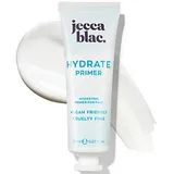 Hydrate Primer