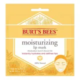 Burt's Bees - Moisturizing Lip Mask